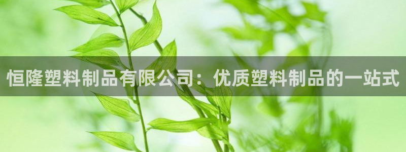 太阳集团贵宾网站：恒隆塑料制品有限公司：优质塑料制品的一站式