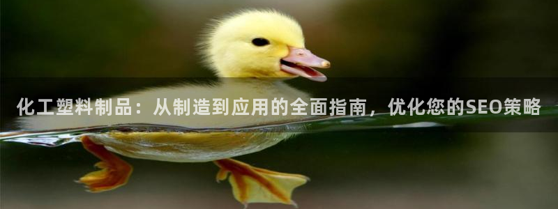 太阳成集团网址 app：化工塑料制品：从制造到应用的全面指南