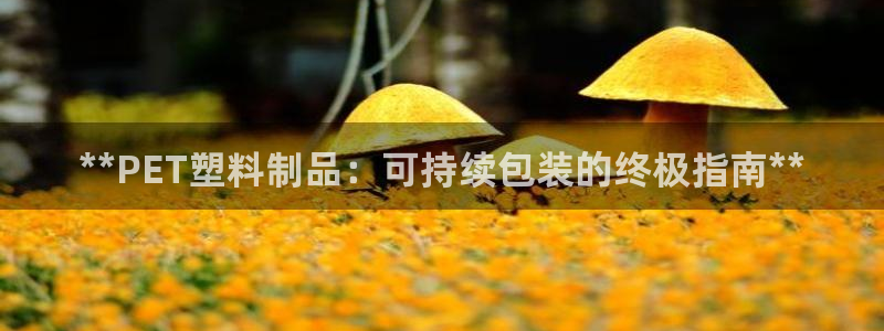 太阳1城集团网址：**PET塑料制品：可持续包装的终极指南*