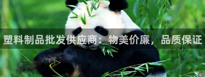 太阳集团游戏城(138)官方网址：塑料制品批发供应商：物美价