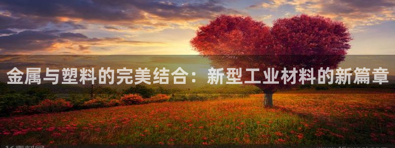 太阳集团电子游戏APP登录入口：金属与塑料的完美结合：新型工