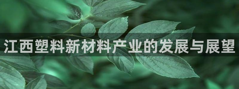 太阳诚集团在线：江西塑料新材料产业的发展与展望