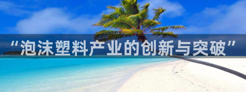 高淳红太阳集团：“泡沫塑料产业的创新与突破”