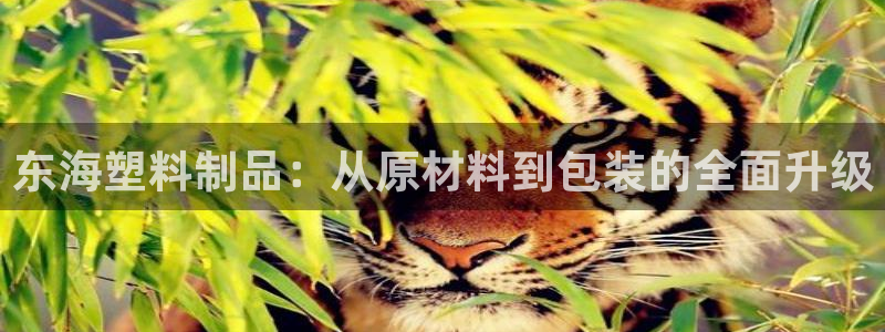古天乐 太阳灯：东海塑料制品：从原材料到包装的全面升级