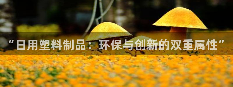 太阳gg娱乐胺44262：“日用塑料制品：环保与创新的双重属