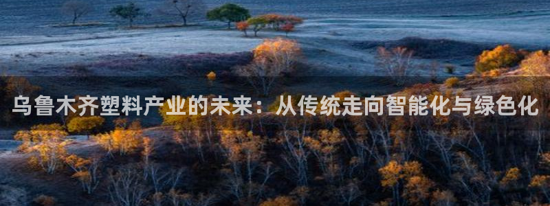 太阳诚集团APP：乌鲁木齐塑料产业的未来：从传统走向智能化与