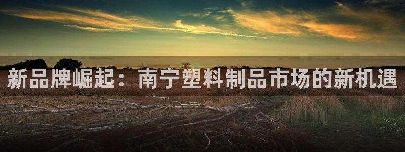 太阳gg平台登陆：新品牌崛起：南宁塑料制品市场的新机遇