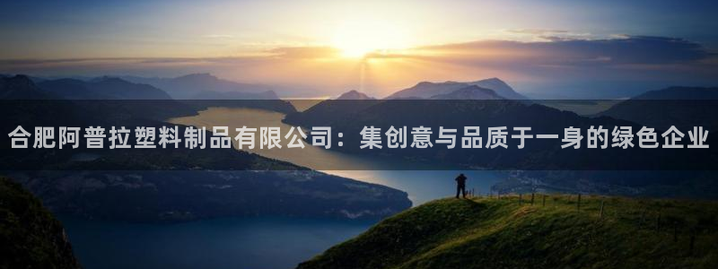 太阳集团电子游戏返还8元：合肥阿普拉塑料制品有限公司：集创意