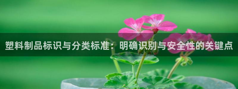 太阳影业投资：塑料制品标识与分类标准：明确识别与安全性的关键