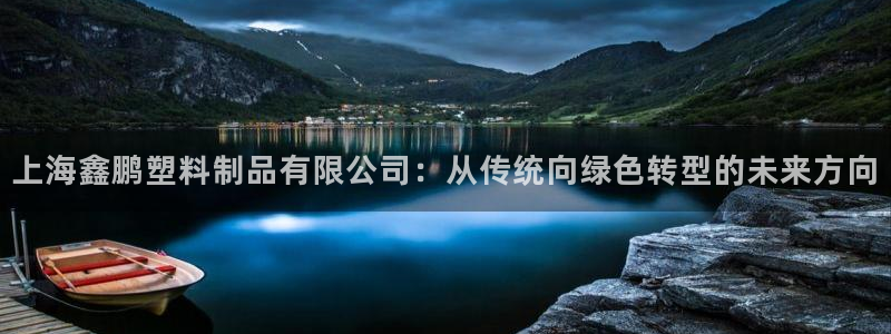 冷たい太阳：上海鑫鹏塑料制品有限公司：从传统向绿色转型的未来