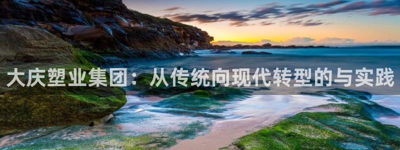 太阳gg登录：大庆塑业集团：从传统向现代转型的与实践