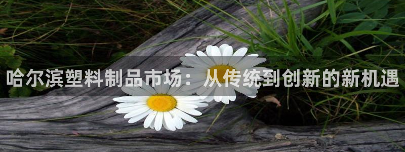 太阳gg是真的吗：哈尔滨塑料制品市场：从传统到创新的新机遇