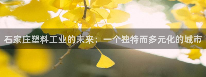 太阳集团娱乐场：石家庄塑料工业的未来：一个独特而多元化的城市