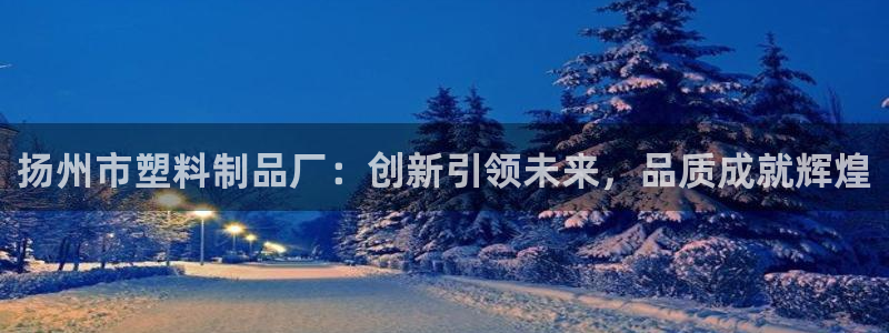 太阳诚集团有限公司怎么样：扬州市塑料制品厂：创新引领未来，品