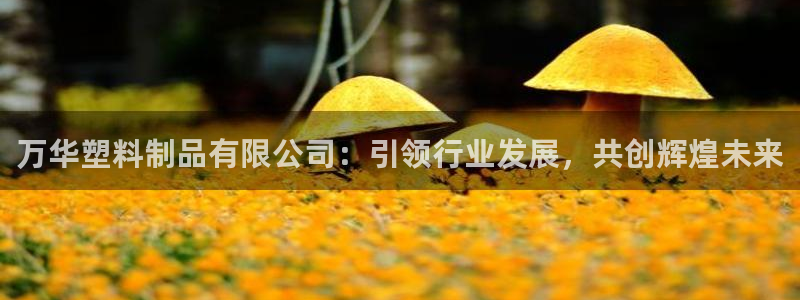太阳集团城官方app下载：万华塑料制品有限公司：引领行业发展