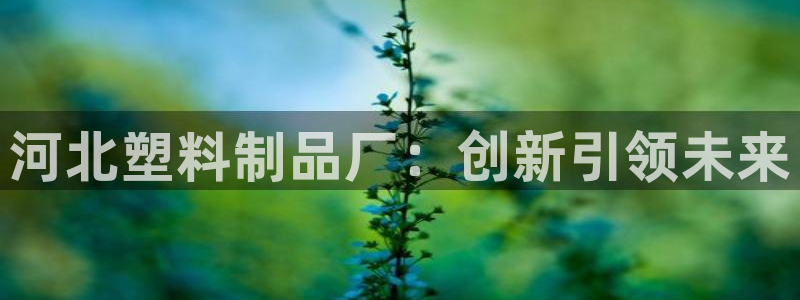 太阳成集团娱乐网站：河北塑料制品厂：创新引领未来