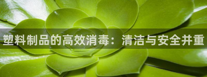 太阳成集团APP：塑料制品的高效消毒：清洁与安全并重