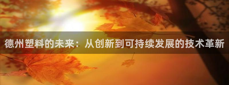 太阳商城贵宾会2017cm：德州塑料的未来：从创新到可持续发