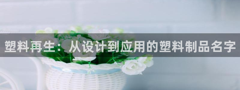 曲靖红太阳集团：塑料再生：从设计到应用的塑料制品名字