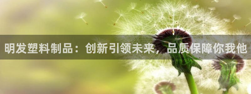 太阳成集团百度百科：明发塑料制品：创新引领未来，品质保障你我