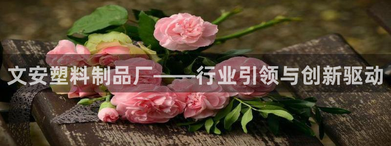 太阳诚集团网址：文安塑料制品厂——行业引领与创新驱动