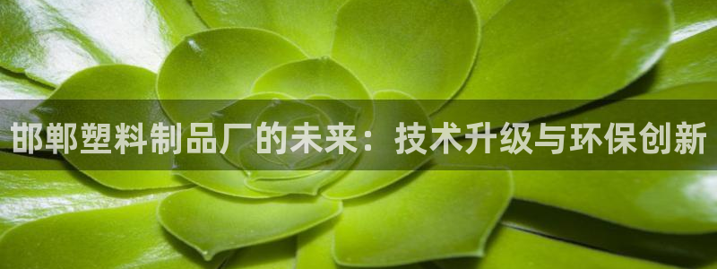 太阳集团2021备用网址：邯郸塑料制品厂的未来：技术升级与环