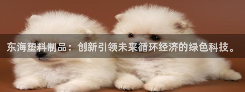 太阳成集团视频：东海塑料制品：创新引领未来循环经济的绿色科技