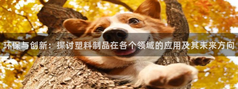 太阳成集团tyc122ccvlp：环保与创新：探讨塑料制品在