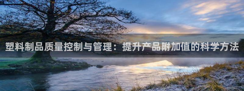 太阳诚集团有限公司是国企吗还是央企：塑料制品质量控制与管理：