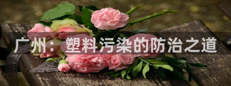 15vip太阳集团登录：广州：塑料污染的防治之道