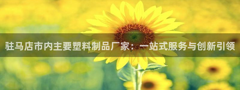 太阳成集团老板照片：驻马店市内主要塑料制品厂家：一站式服务与