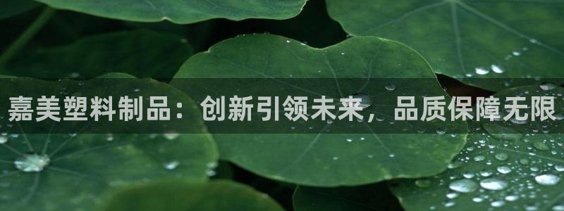 太阳集团电子游戏(中国)有限公司官网：嘉美塑料制品：创新引领