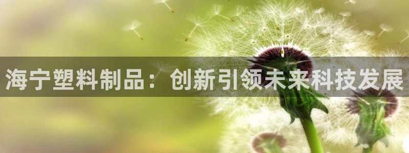 太阳集团电子游戏官方网站：海宁塑料制品：创新引领未来科技发展