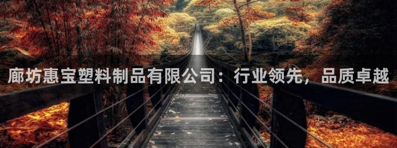 太阳c集团：廊坊惠宝塑料制品有限公司：行业领先，品质卓越