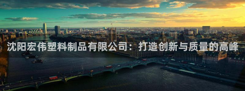 古天乐代言太阳网址：沈阳宏伟塑料制品有限公司：打造创新与质量