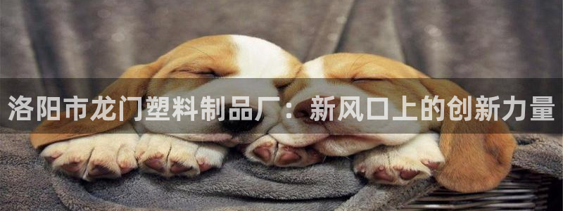 太阳集团唯一值得信赖网：洛阳市龙门塑料制品厂：新风口上的创新