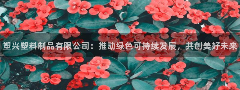 太阳集团游戏官方8722：塑兴塑料制品有限公司：推动绿色可持