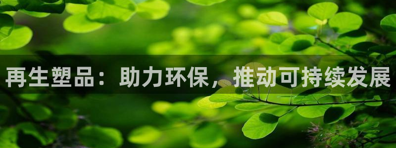 太阳集团控股有限公司：再生塑品：助力环保，推动可持续发展