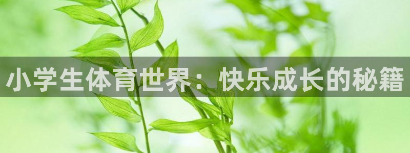熊猫体育公园价格