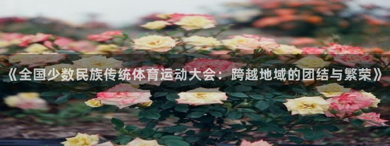 熊猫体育文化有限公司