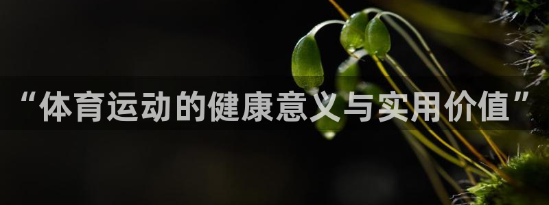 熊猫体育官网首页入口