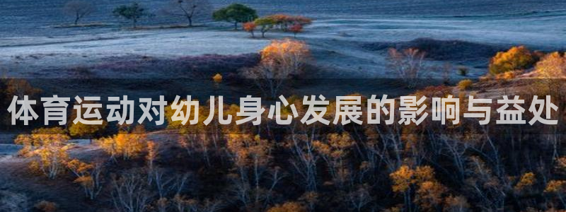 熊猫体育app官网入口