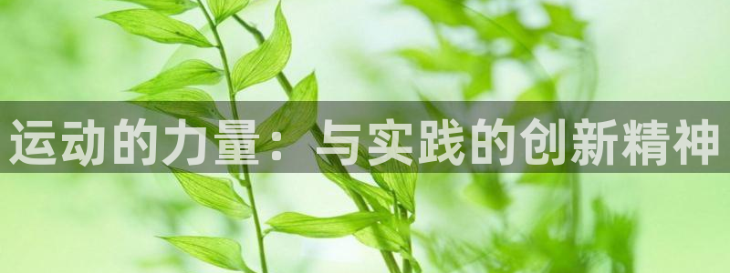 熊猫体育在线观看