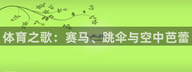 熊猫体育免费下载
