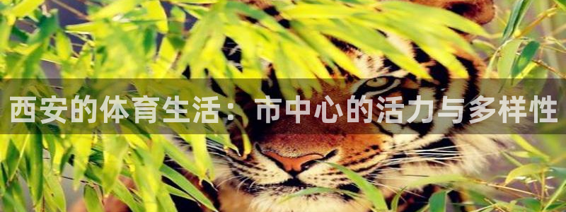 成都熊猫体育公园