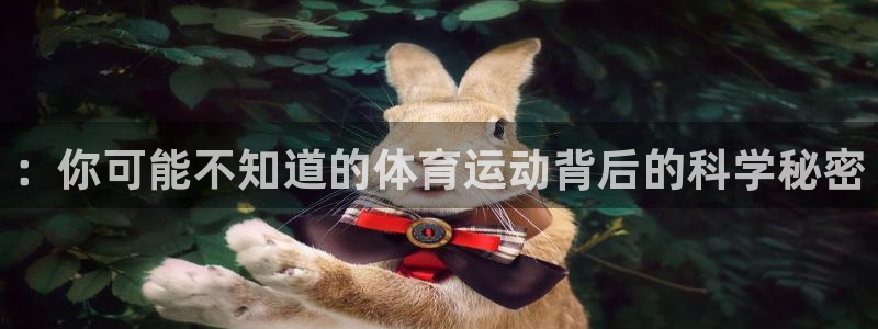 成都熊猫体育公园