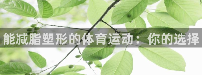 熊猫体育比赛直播