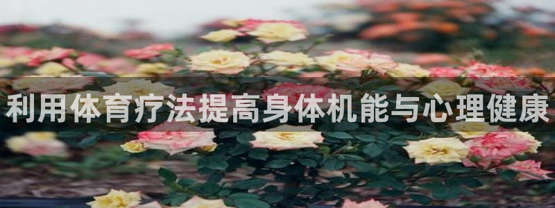 熊猫体育v3.新网页.org