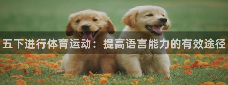 动感熊猫体育公园