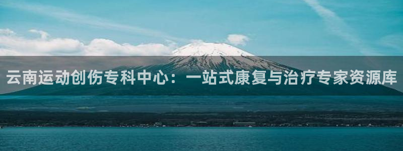 熊猫体育文化有限公司
